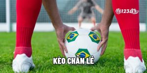 Kèo Chẵn Lẻ tại 123B