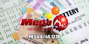 Mega 6/45 123B