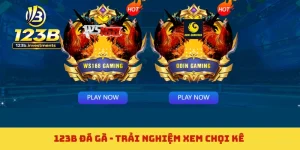 123B Đá Gà - Trải Nghiệm Xem Chọi Kê Không Giới Hạn