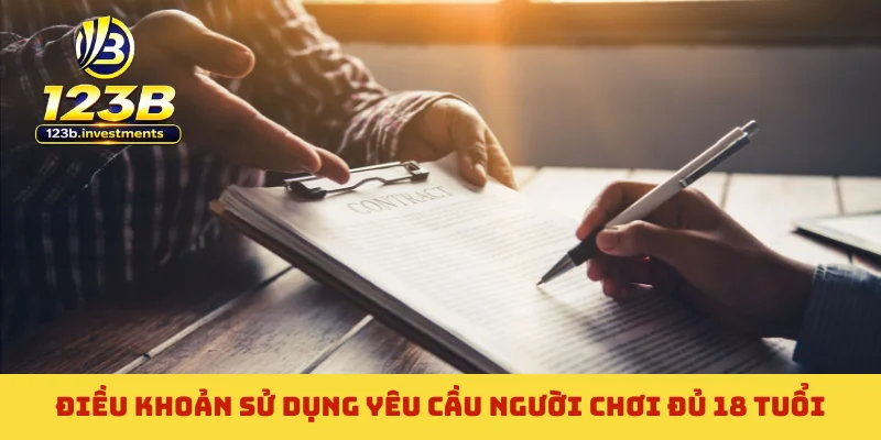 Điều khoản sử dụng yêu cầu người chơi đủ 18 tuổi