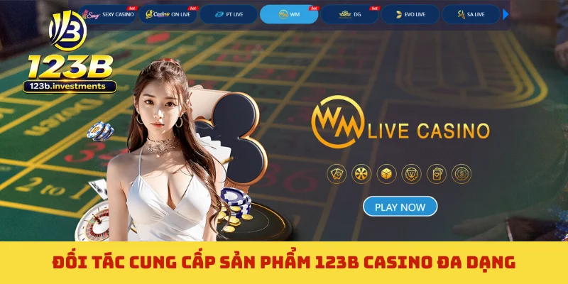 Đối tác cung cấp sản phẩm 123B casino đa dạng Đối tác cung cấp sản phẩm 123B casino đa dạng